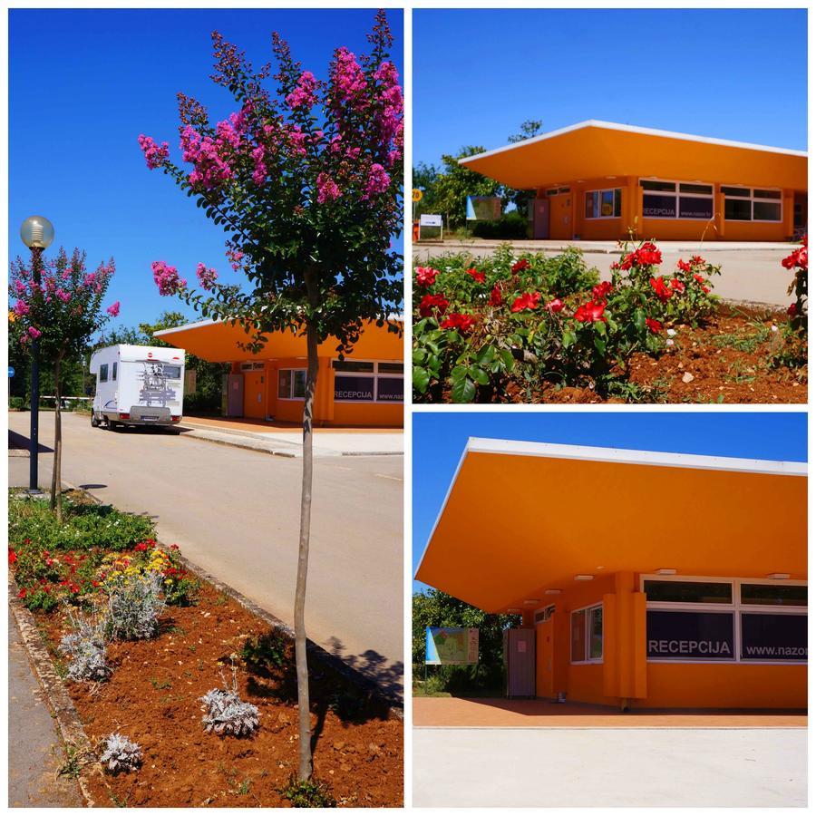 Sunflower Camping Savudrija Exterior photo